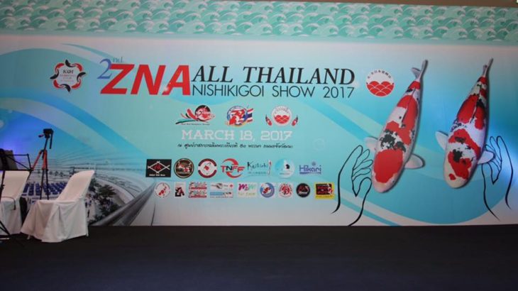 ZNA ALL THAILAND2017