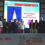 Koi’s Festival 2017 7-8 April in Indonesia.