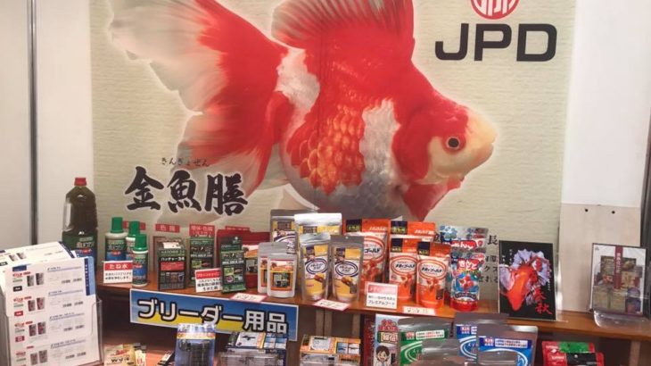 Th35 Japan Ornamental fish fair visit at Tokyo Edogawa area. 14-16 2017.