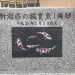 県の観賞魚 指定記念講演会