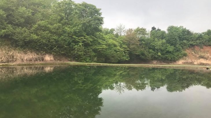 Maruju koi farm visited 13 May 2017.