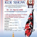 13th Shinkokai Thailand Koi Show on 20-21 Jun 2017.