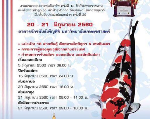 13th Shinkokai Thailand Koi Show on 20-21 Jun 2017.