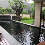 Indonesia koi hobbyist Mr.Andi’s house visit.