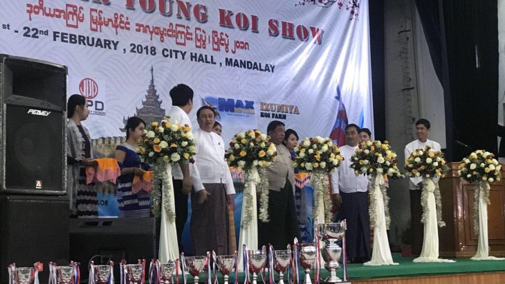 2018 2nd Myanmar Young Koi Show