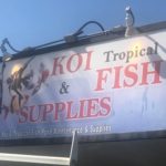 Koi Fish Supplies visit California USA.