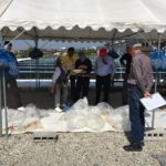 19th ZNA Young Koi Show in Wakayama prefecture on 29 April 2018