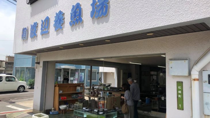 Watanabe fish farm shop visit Yamaguchi prefecture.