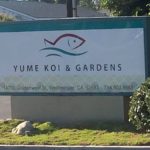 Yume Koi and Gardens visit.