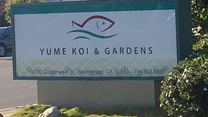 Yume Koi and Gardens visit.