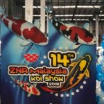 2018 ZNA Malaysia koi show.