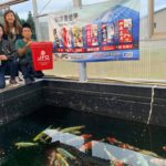 Wada koi farm visit.