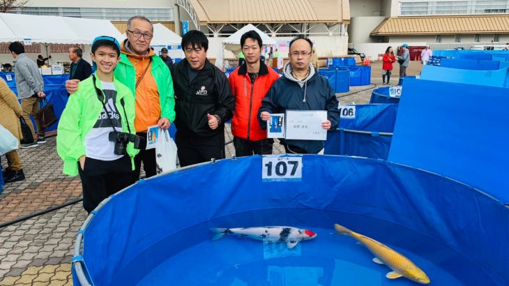 Th54 ZNA International koi show 2018 in Niigata.