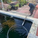 North California Koi lovers house visit 3 January 2019.