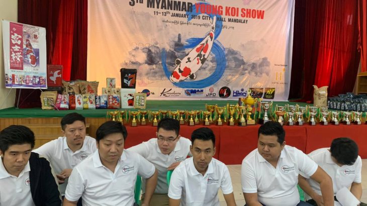 3Th Myanmar koi show second day on 12 January 2019.