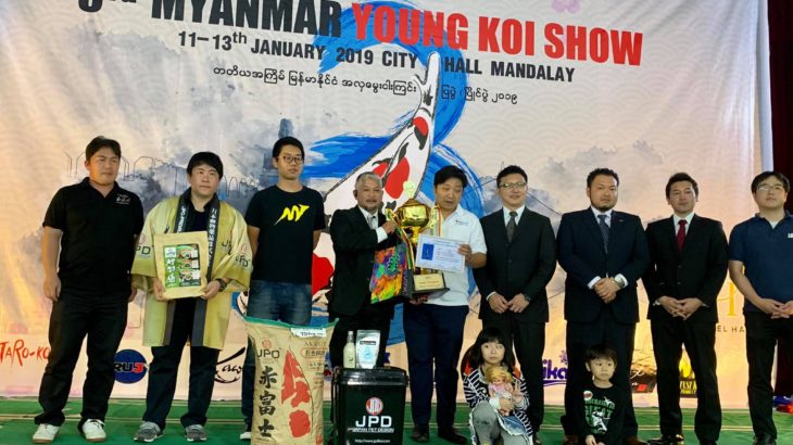 3th Myanmar koi show on 11-12-13 January 2019.