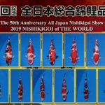 50th All Japan Koo Show .