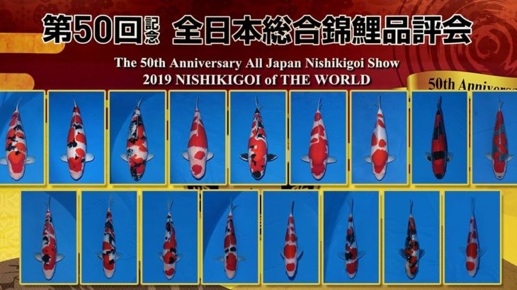 50th All Japan Koo Show .