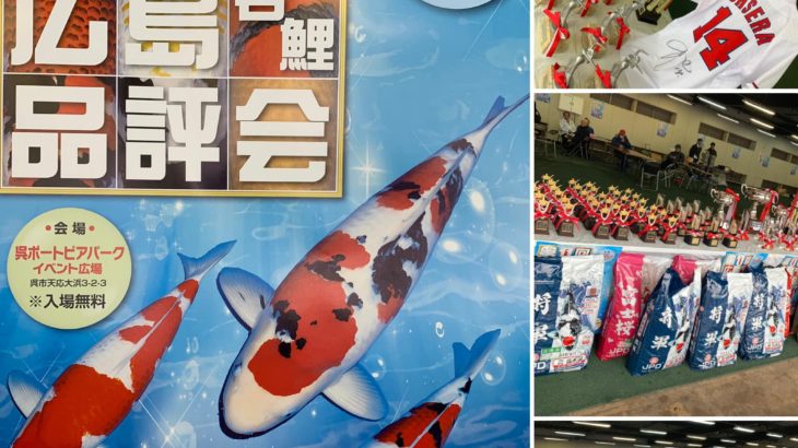 11th Hiroshima Young koi show visit on 10 March 2019