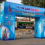 1 th ZNA Vietnam Open Koi Show 2019.