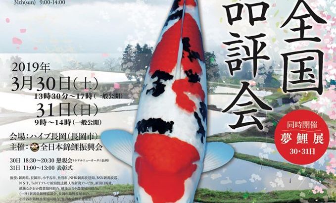 36th All Japan Young Koi show begins today.
