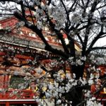 My second home town “Asakusa temple” Visit today .