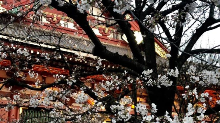 My second home town “Asakusa temple” Visit today .