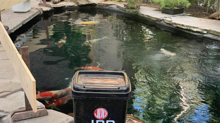 Washington state Koi hobbyist house pond visit. Thank you for inviting and choosing JPD mud booster and Yamato.