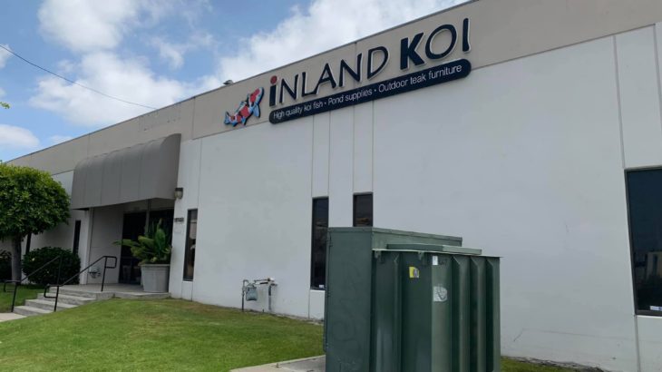 Inland Koi visit on 5 May 2019.