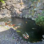 Koi hobbyist Mr.Brian’s pond visit in Washington USA