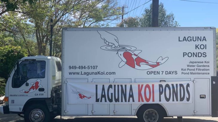 Laguna Koi Ponds visit on May 5 2019.