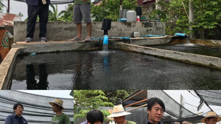 Anda carp farm temporary construction pond visit on May 12 2019.