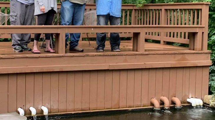 Indianapolis USA koi hobbyist Mr. Chester Bailey-san’s pond visit on Jun 19 2019.