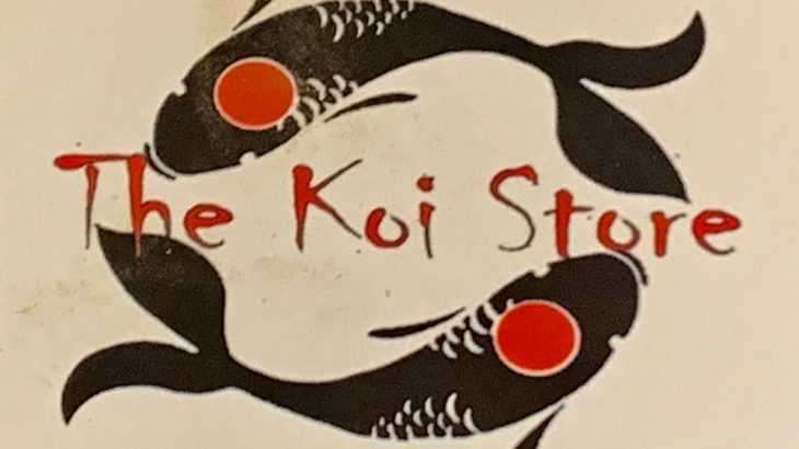 The koi store visit on Jun 21,2019 in Atlanta USA.