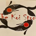 The koi store visit on Jun 21,2019 in Atlanta USA.