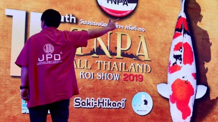 ผมขอขอบคุณเพื่อนๆ ทุกๆ ท่านที่มาเยี่ยมบูธอาหารปลา JPD ในงาน15th TNPA All Thailand Koi Show 2019และ