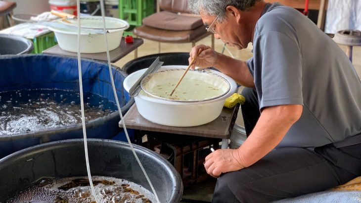 Marujyu Koi farm visit on July 11 2019.