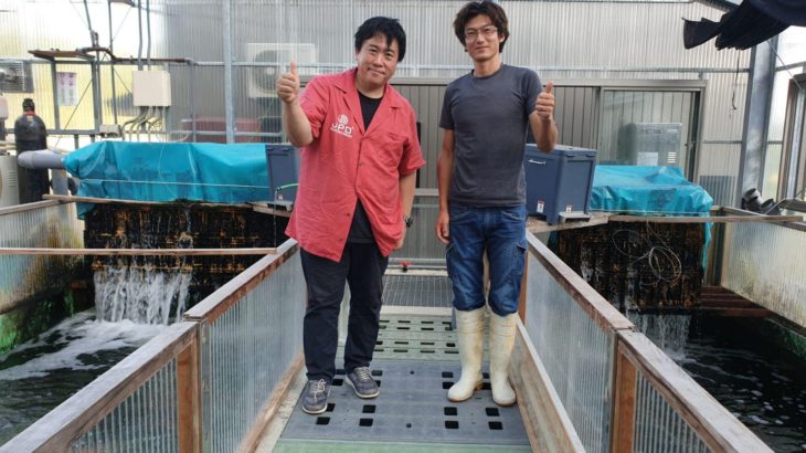 Kanno koi farm visit on July 7 2019.