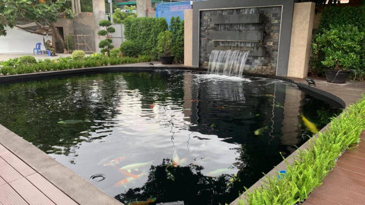 1st Cambodia koi hobbyist house visit on 7th August 2019 morning with Grande koi, CK San.