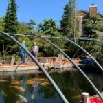 American North West Koi hobbyist Mr.Larry san’s house pond visited on July 28 2019.