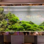 One of the high end quality aquarium shop visit in Tokyo on September 4 2019.