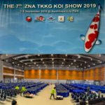 THE 7th ZNA TKKG KOI SHOW 2019