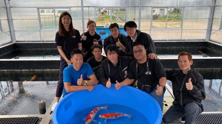 Hoshikin Koi Farm visiting on October 18 2019.