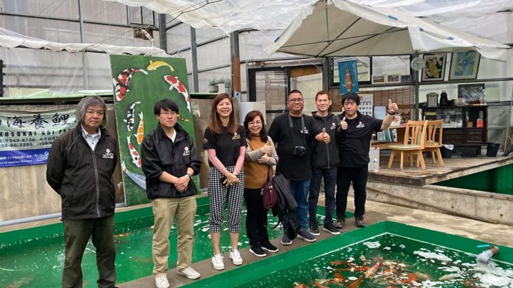 Hosokai Koi farm visiting on Oct 19, 2019.