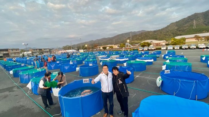 55th ZNA International Koi Show on November 9 2019 in Yamaguchi prefecture.