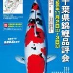 2019年11月2-3日 第48回千葉県錦鯉品評会