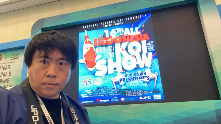 16TH All Indonesia Koi Show 2019.