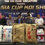 9Th Asian Cup Koi Show in Singapore