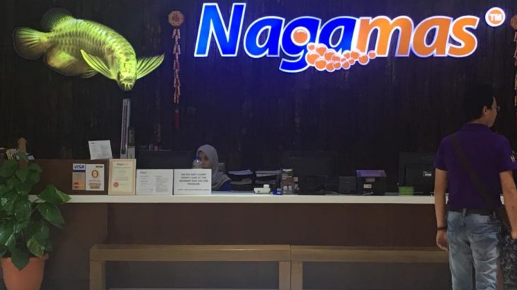 Nagamas visit