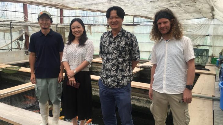 Taiwan business partner Sing Chang Koi Farm visited to Ouzumi Ikarashi koi farm mud pond .